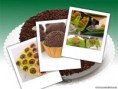 /album/algumas-de-nossas-delicias/minhafotosite-jpg1/